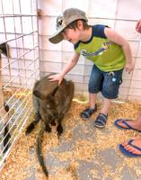 PHOTOS: Pet project