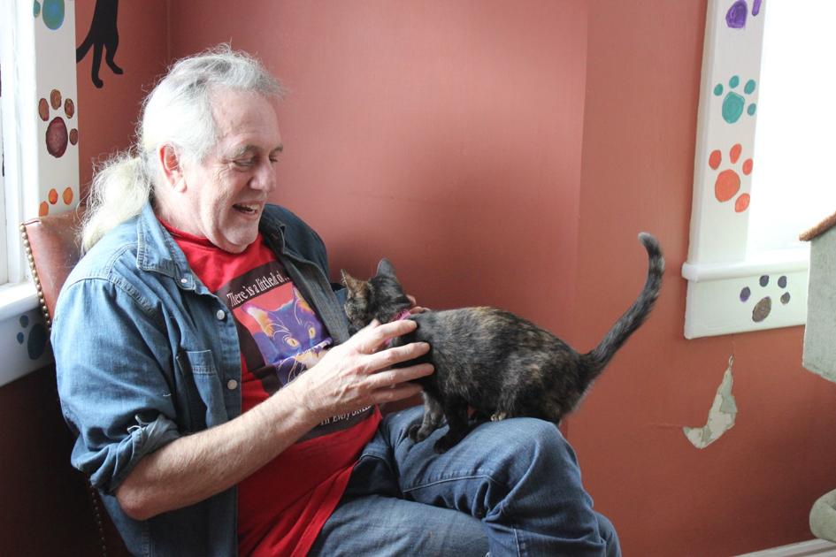 Wv Cat Cafe Helping Rescue Kitties Find Forever Homes Life