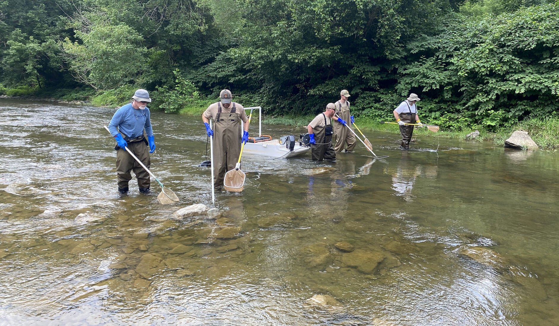 Microplastics Found in Local Fish from Shepherdstown Streams