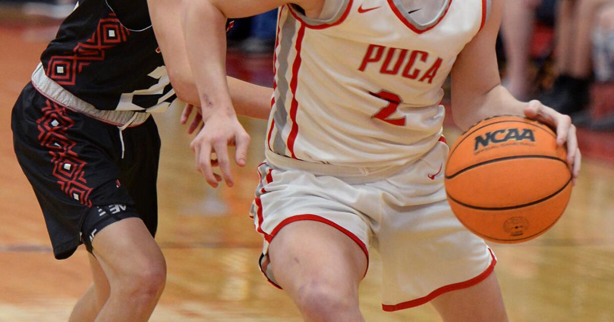 Boys basketball: Poca pulls away from Wayne | Sports | wvgazettemail.com