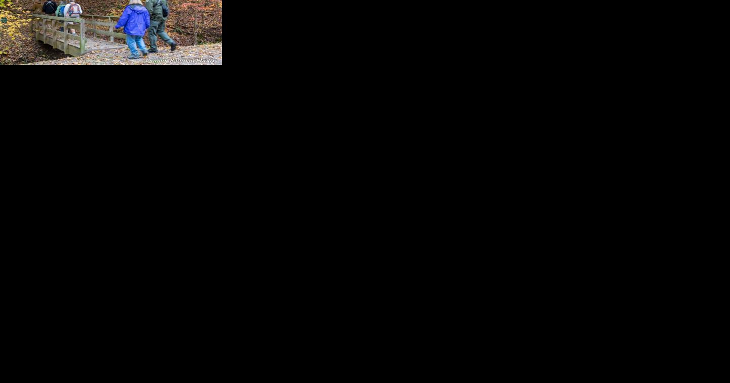 Nine nature walks slated for Saturday at Kanawha State Forest - Vimarsana News