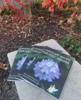 WVNLA to host Winter Symposium in 