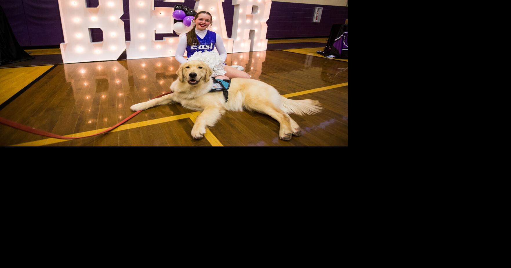 Friends with Paws 'Pup Rally' | | wvgazettemail.com