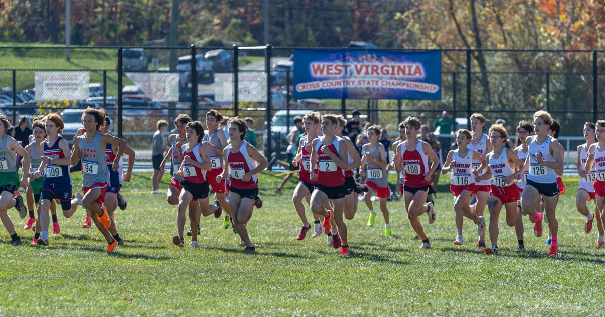 Photos 2024 high school crosscountry championships Galleries