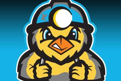 Dirty Birds logo