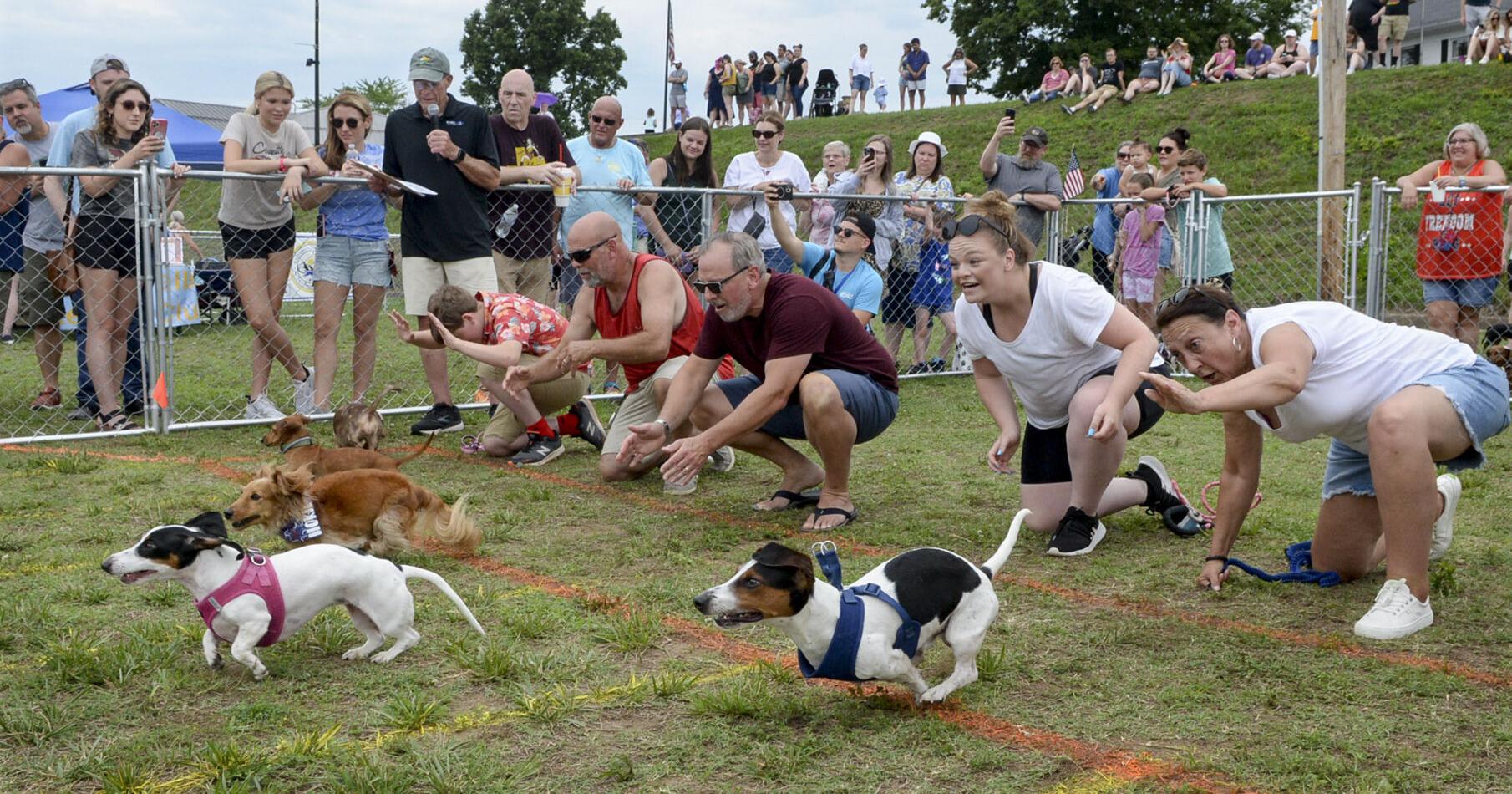 Regatta 2023: Wiener dogs race for glory at Magic Island - Vimarsana News