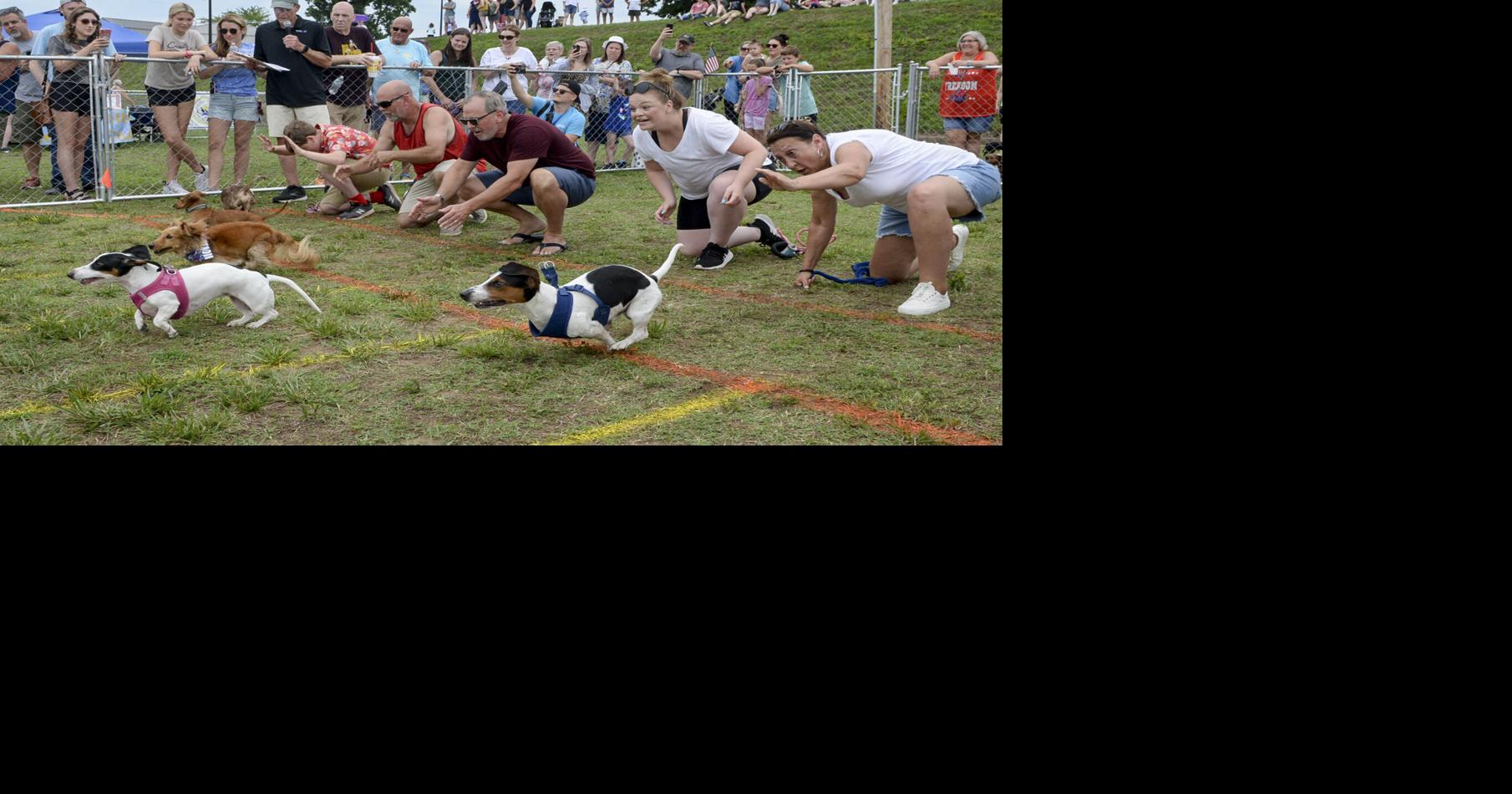 Regatta 2023 Wiener dogs race for glory at Magic Island Charleston