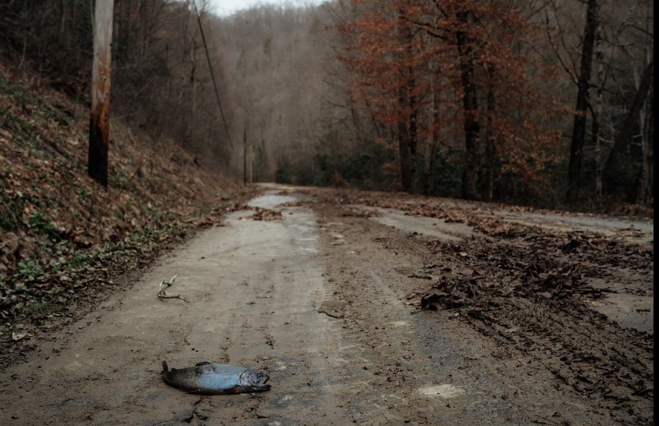 Flooding damage in McDowell County | | wvgazettemail.com