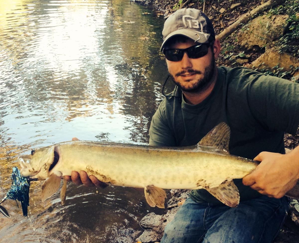 Small W Va Creeks Can Yield Some Mighty Big Muskies Outdoor Pursuits Wvgazettemail Com