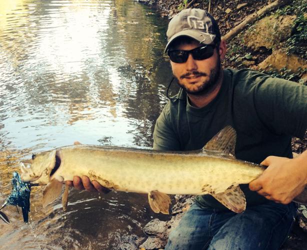 Small W.Va. creeks can yield some mighty big muskies