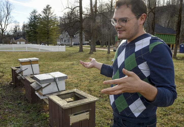 Bees