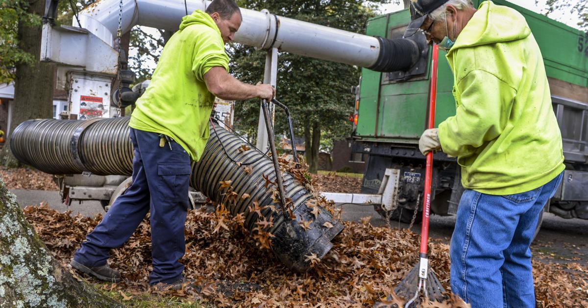 Fall Guys Environments Charleston WV shows off leaf pickup trucks at Salt Parade | Kanawha ...