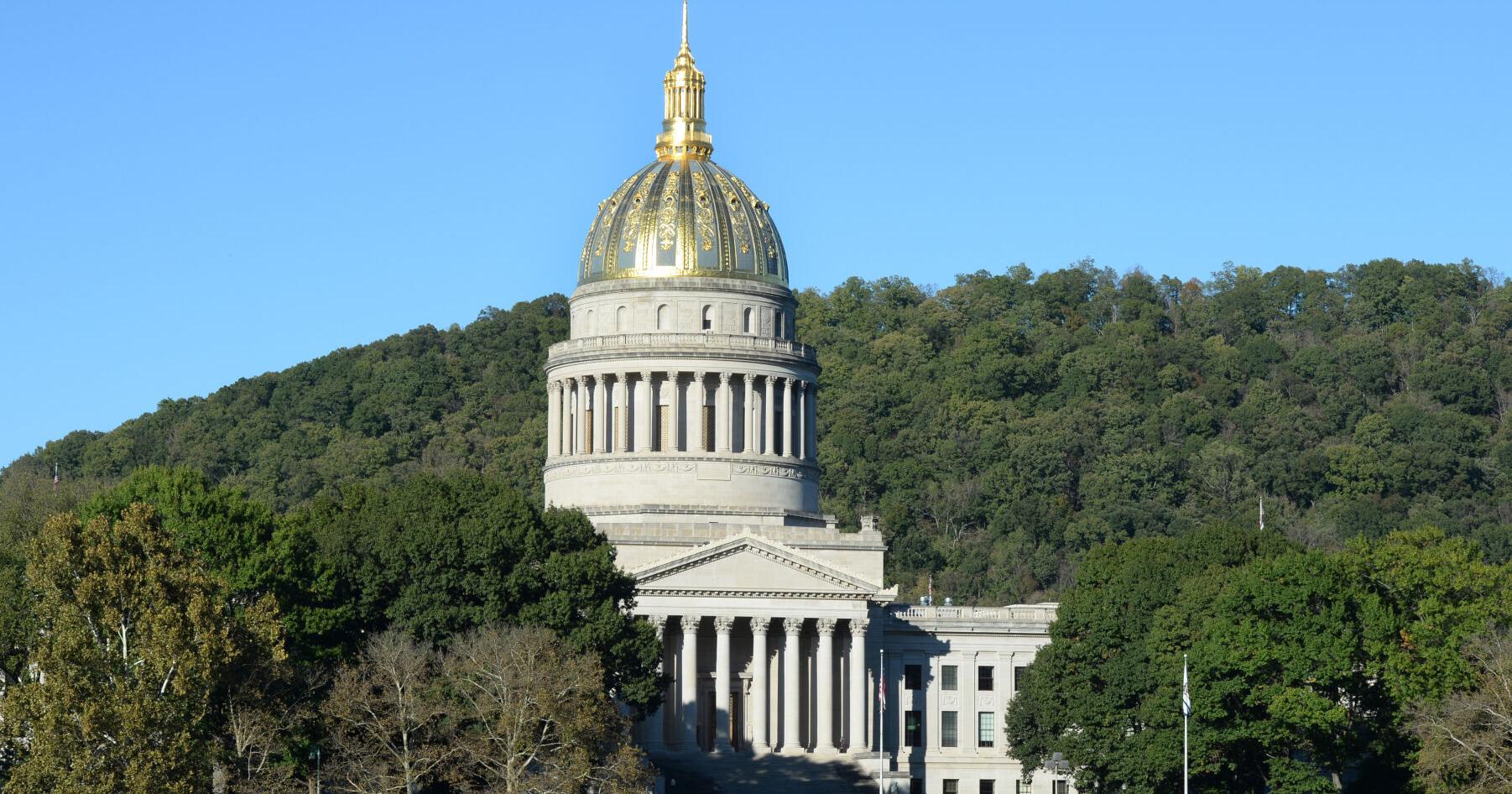 Shekinah Apedo : WV taking big steps in blockchain , AI ( Opinion )