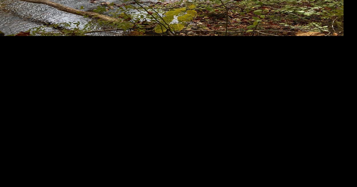Aurora Sustainable Lands