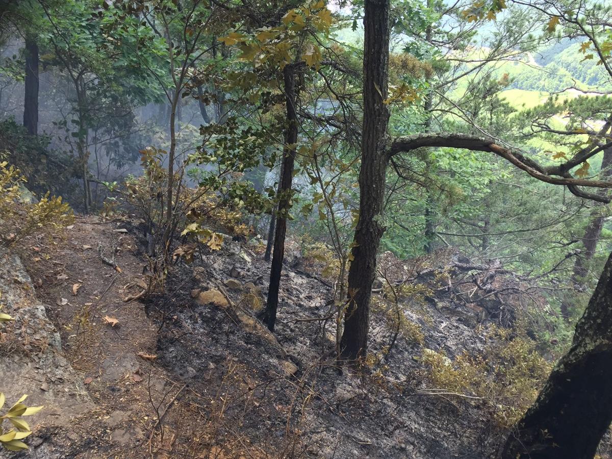 Seneca Rocks fire continues to burn, has covered more than 50 acres