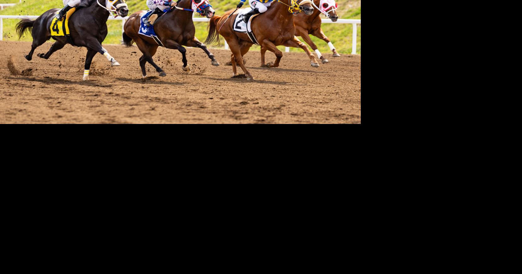 Sandy Ridge Racetrack opens, brings live quarter horse racing to Ashland