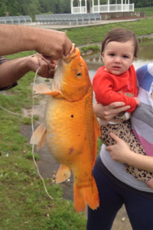 Man catches massive fish in Nitro lake