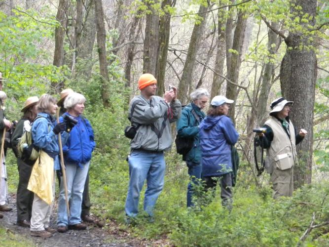 Celebrate Appalachian spring with nature hikes | News | wvgazettemail.com