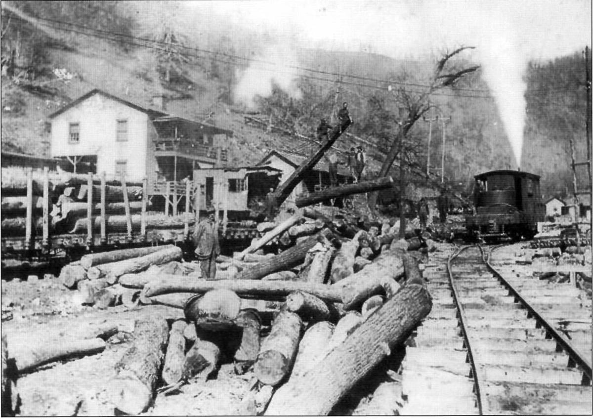 Looking back at WV's logging camps of yesteryear (Daily Mail WV