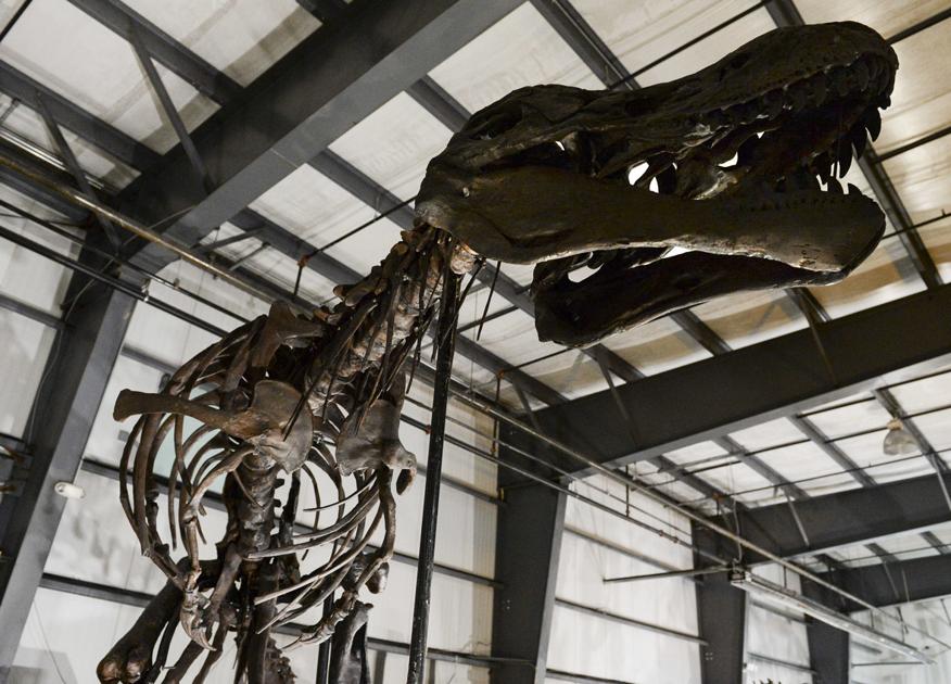 t rex science center