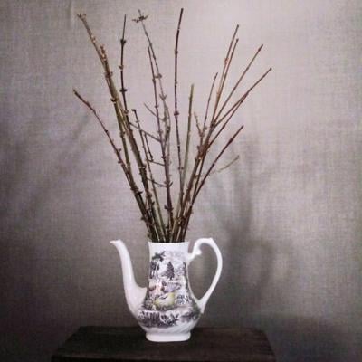 2020207-gm-garden-pic.jpg