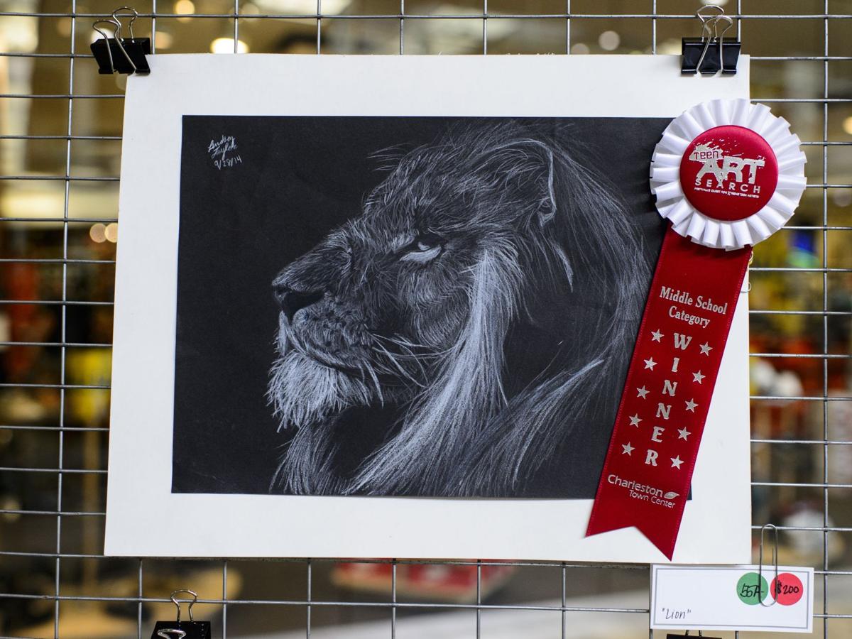Lindsey Taylor S Lion Takes Middle School Category At Teen Art