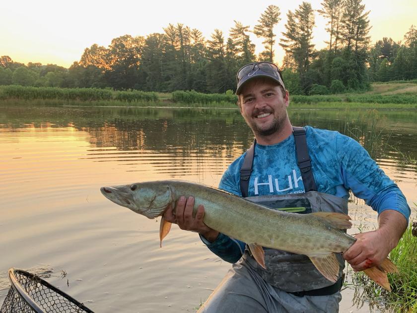 DNR hopes data gathered on muskie catches will shine light on warm-water mortality - Charleston Gazette-Mail