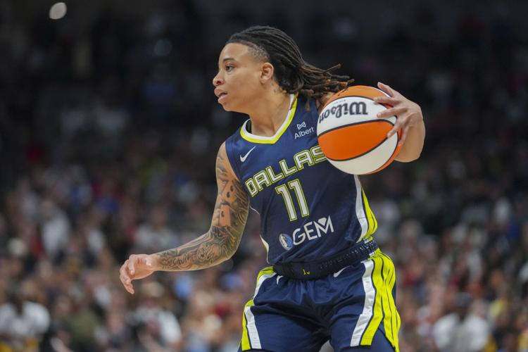 Fever Wings Basketball