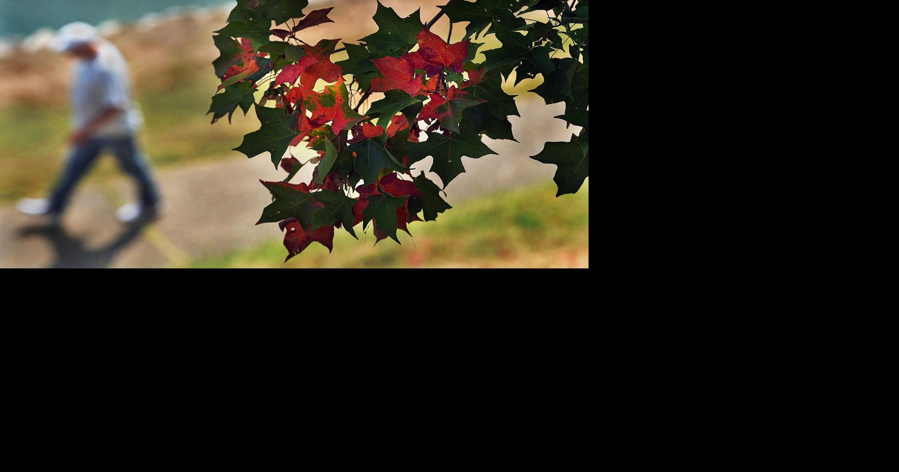 Photo: Fall is fast approaching | News | wvgazettemail.com