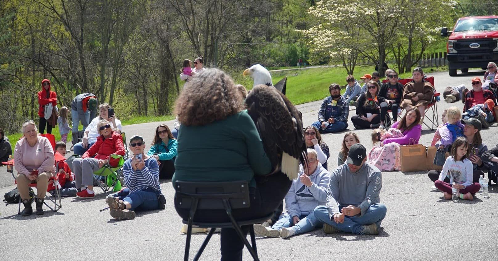 Avian events scheduled at Spring Hill Cemetery