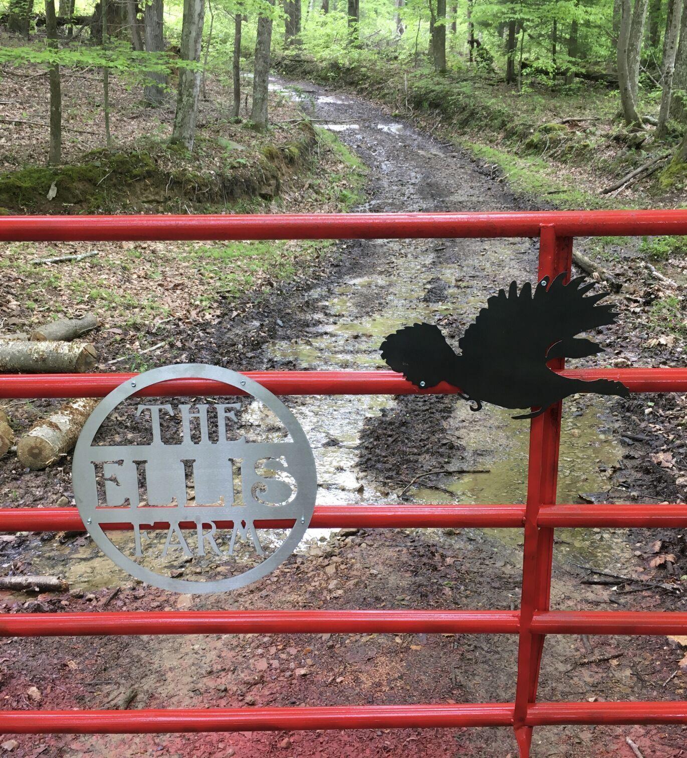 Chris Ellis With spring gobbler season over, summertime is near