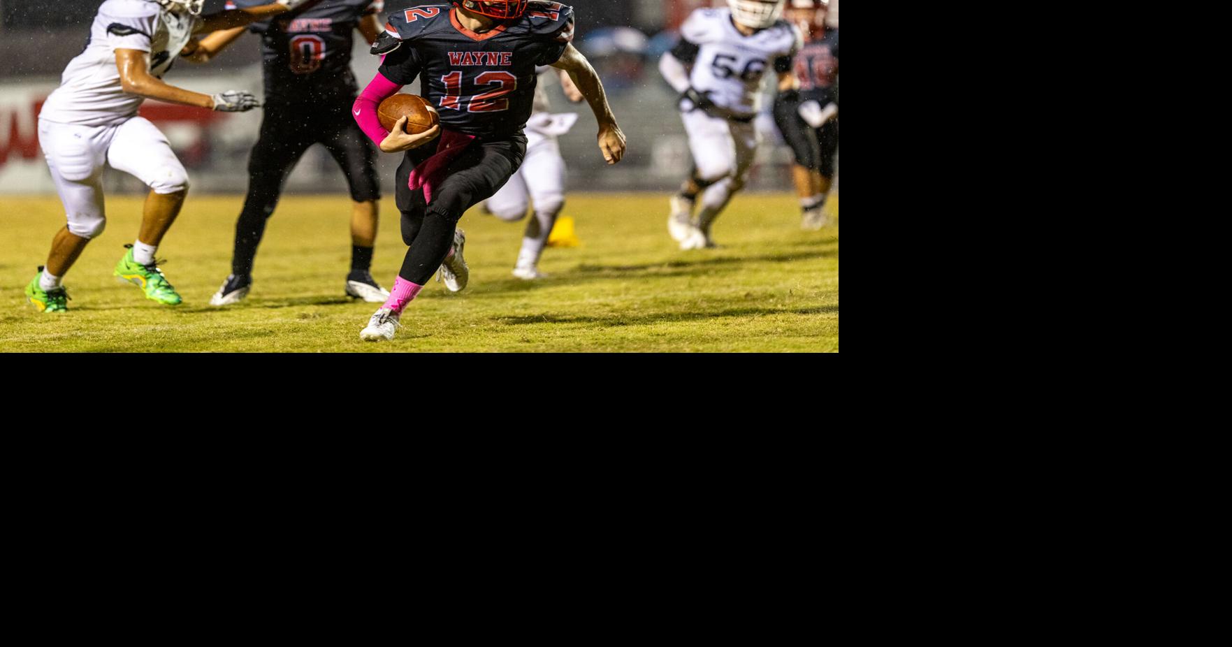 Wayne clamps down, handles Logan 55-14 | Sports | wvgazettemail.com