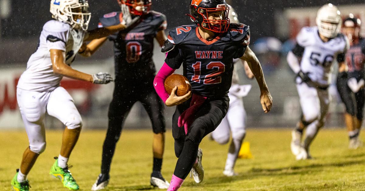 Wayne clamps down, handles Logan 55-14 | Sports | wvgazettemail.com