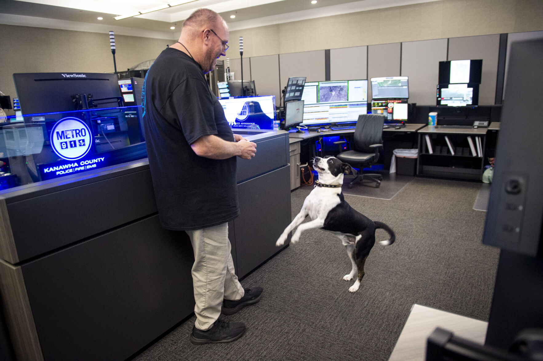 Meet Pip: Kanawha County's Metro 911 Rescue Dog Dispatcher | Kanawha ...