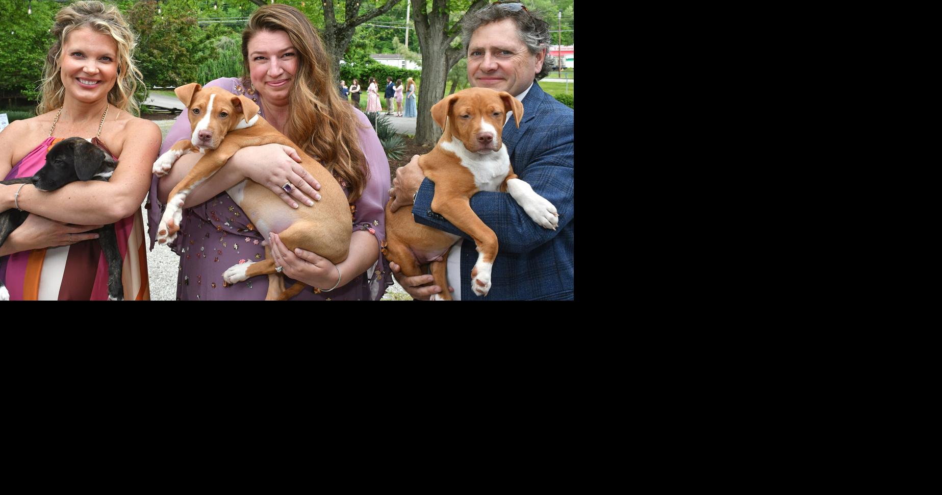 On the Town: Tuxes & Tails, Whiskers & Wildflowers fundraiser for Humane Society