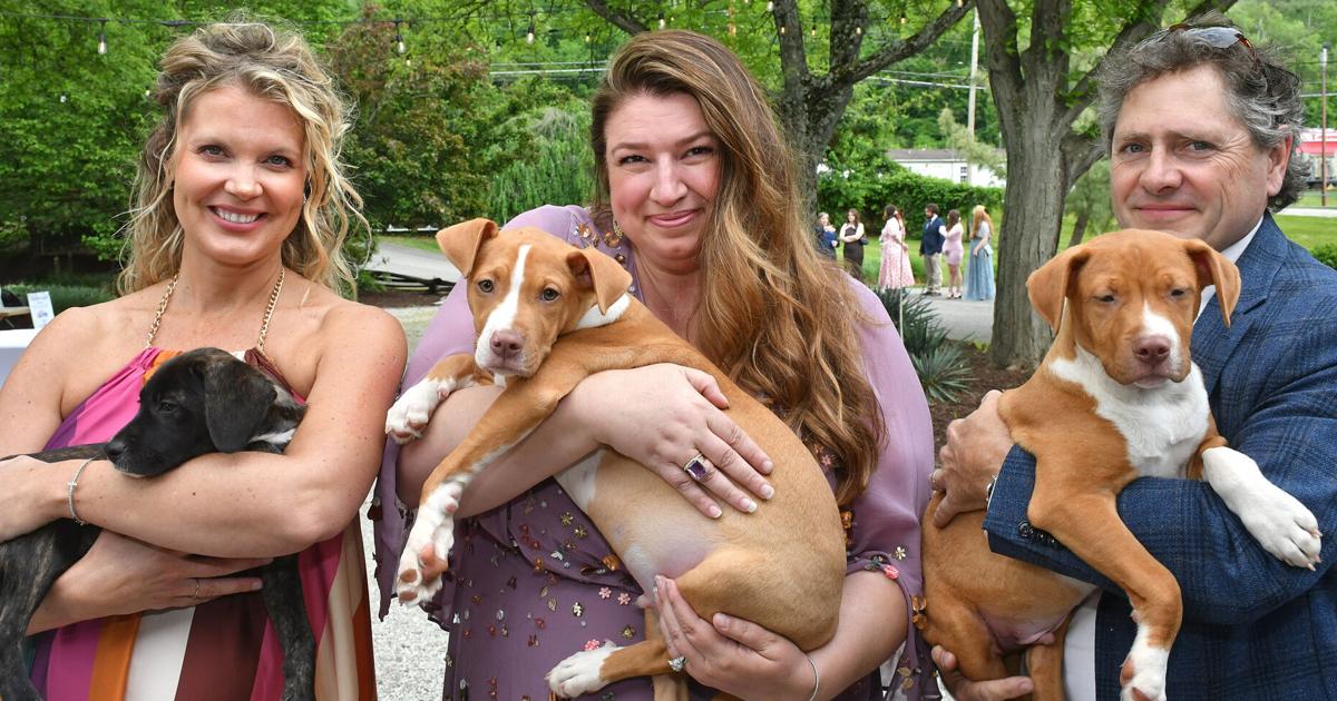 On the Town: Tuxes & Tails, Whiskers & Wildflowers fundraiser for Humane ...
