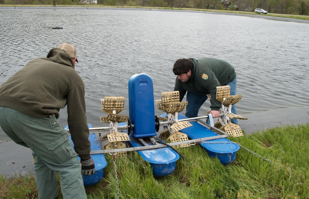 Despite virus, life at WV's fish hatcheries goes on Hunting & Fishing
