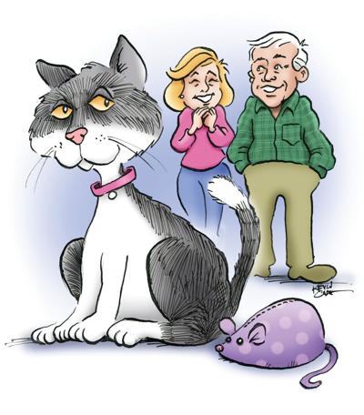 Rescued Cartoon Alley Cat Gets A New Name Valley Cat West