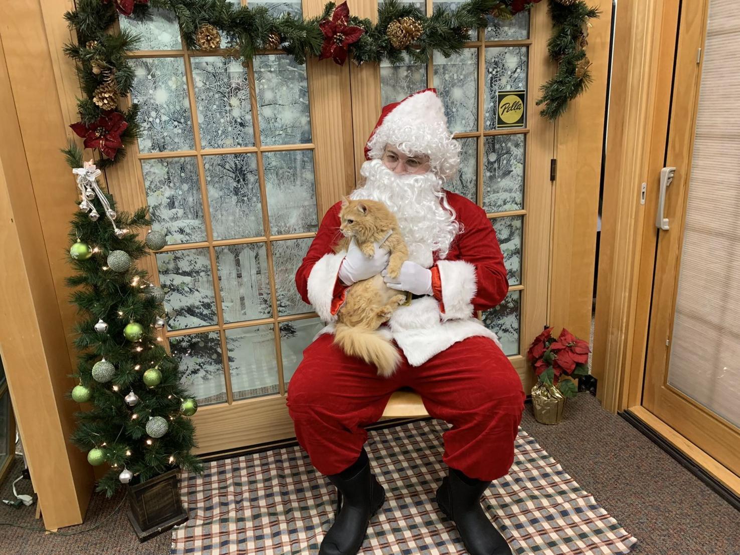 Cat Visits Santa Claus
