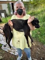 New Lincoln County animal rescue has many paw-sibilities, goals not far-fetched