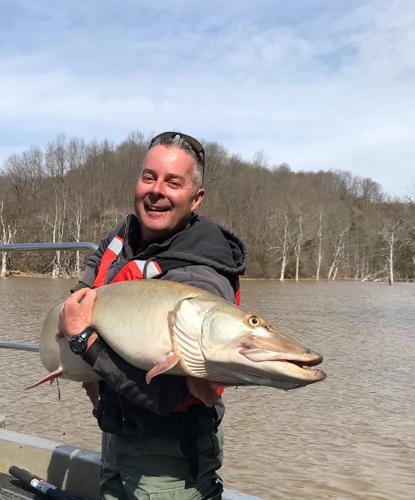 DNR hopes data gathered on muskie catches will shine light on warm