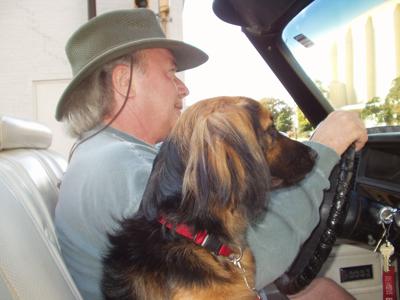 Laws For Paws Good Samaritans Who Rescue Dogs Need Legal Protection Life Wvgazettemail Com