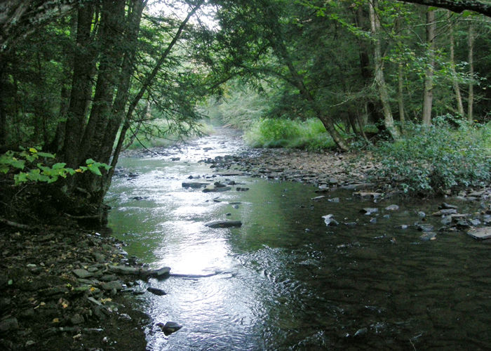 Laurel Fork is a remote bit of backcountry in Almost Heaven | Life ...