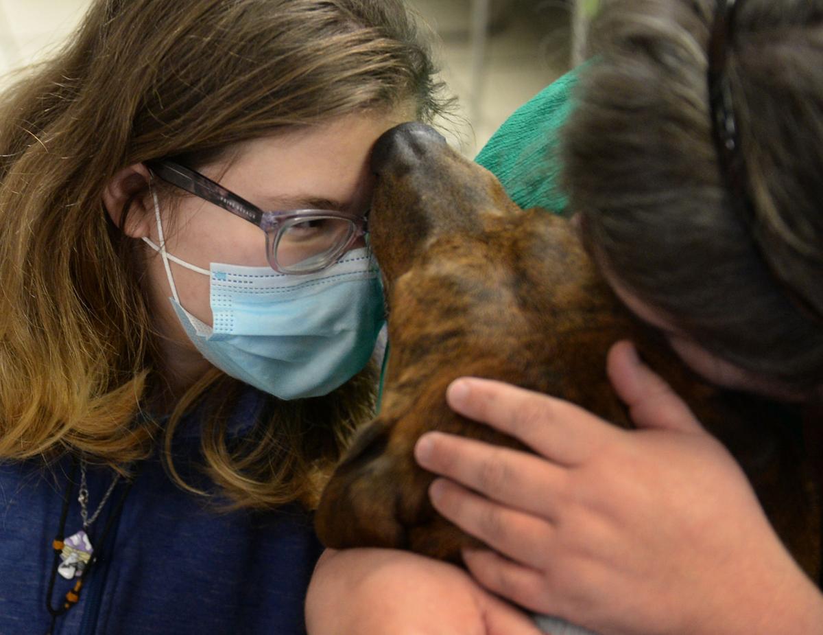 PHOTO: Girl's best friend