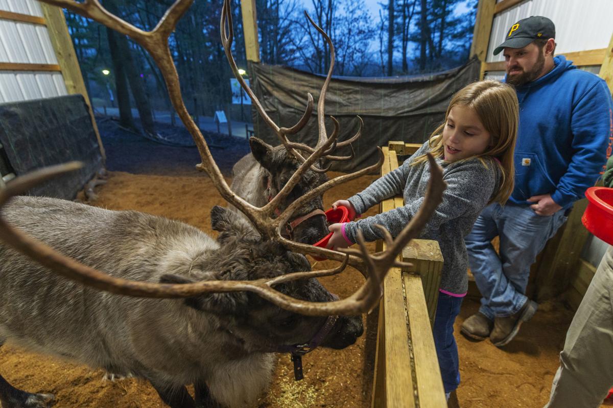 Oglebay Revamps Winter Festival Of Lights For A New Generation
