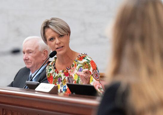 Sen. Amy Grady, R-Mason