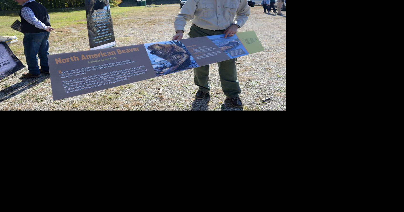 New wildlife education center to take shape at Forks of Coal Natural