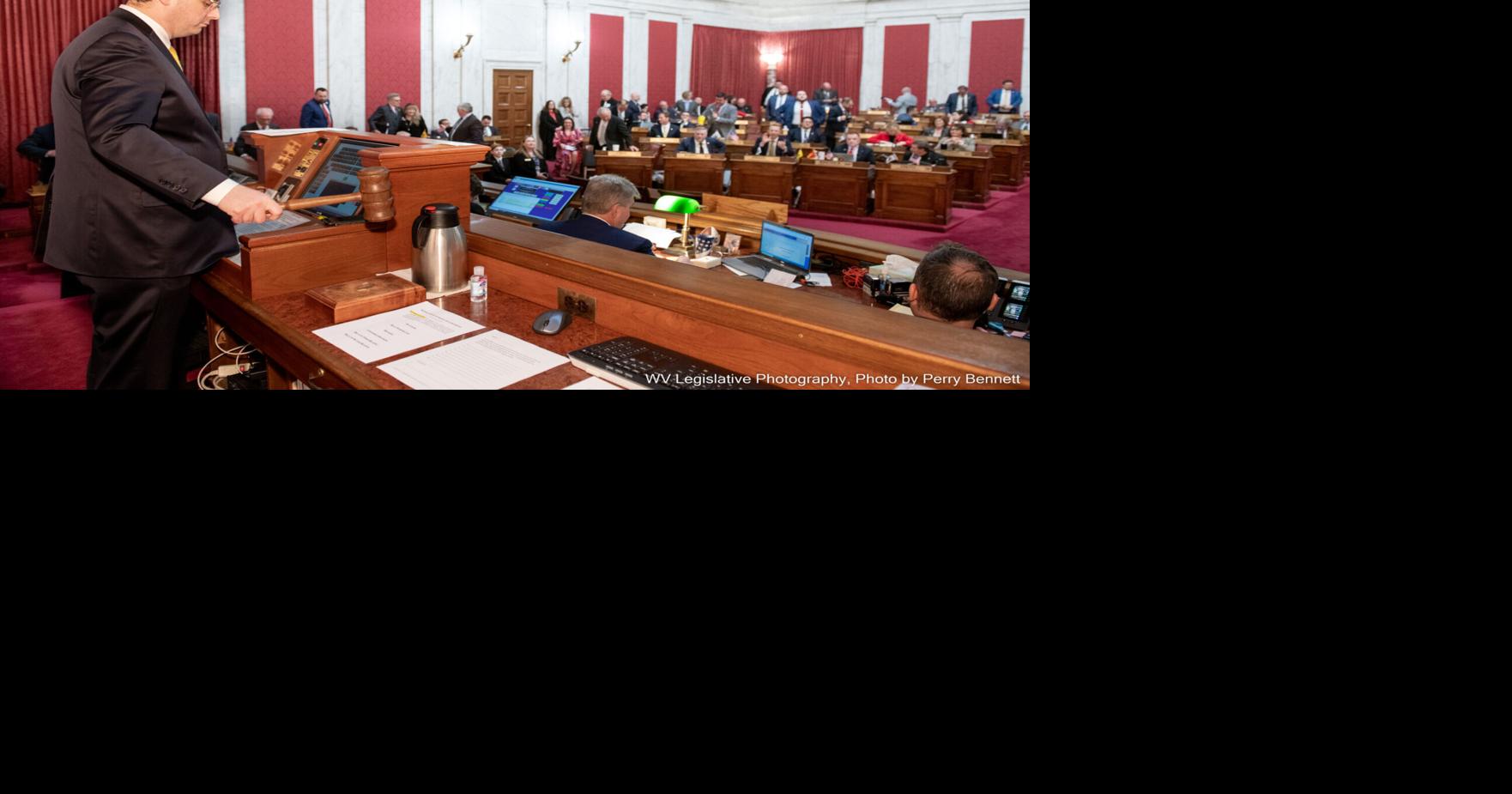 West Virginia delegates reflect on passed, failed legislation ...