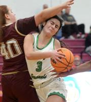 Girls basketball: Strong defense helps Winfield to 45-28 win over Jefferson