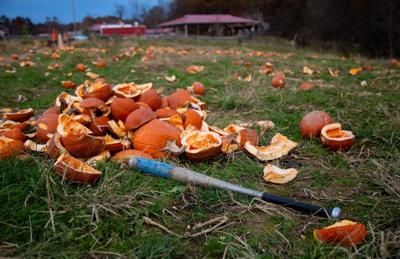 20191031-gm-bbpumpkinsmash